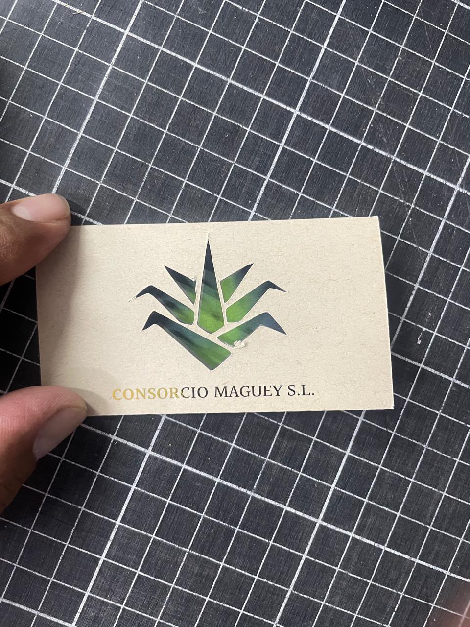 Tarjetas Consorcio Maguey