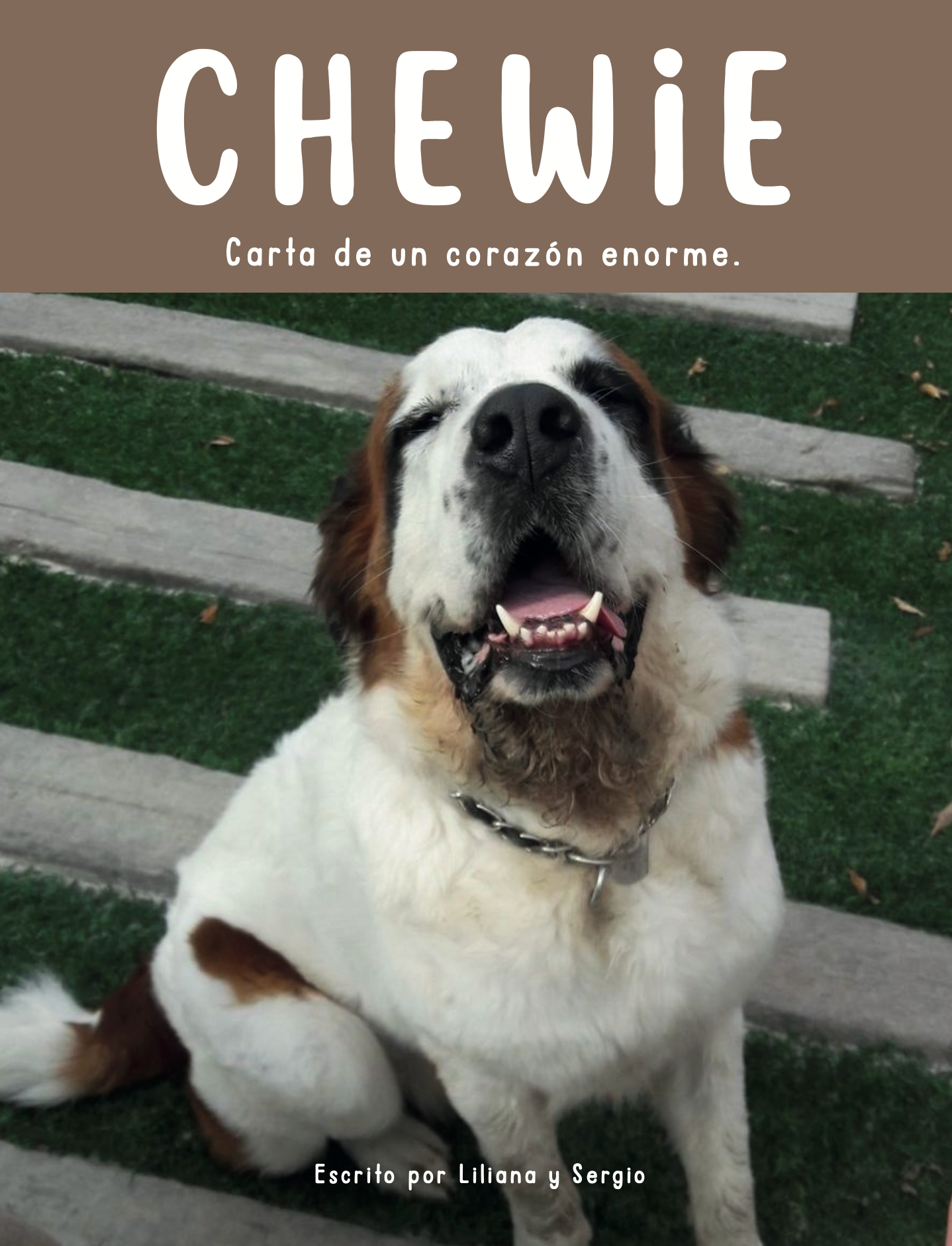 Libros Blue y Chewie