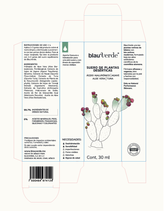 Cajas BlauVerde