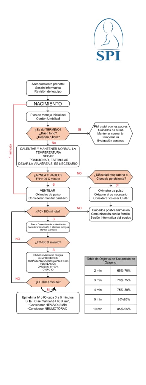 Lona Nacimiento - El 78 Centro Impresor